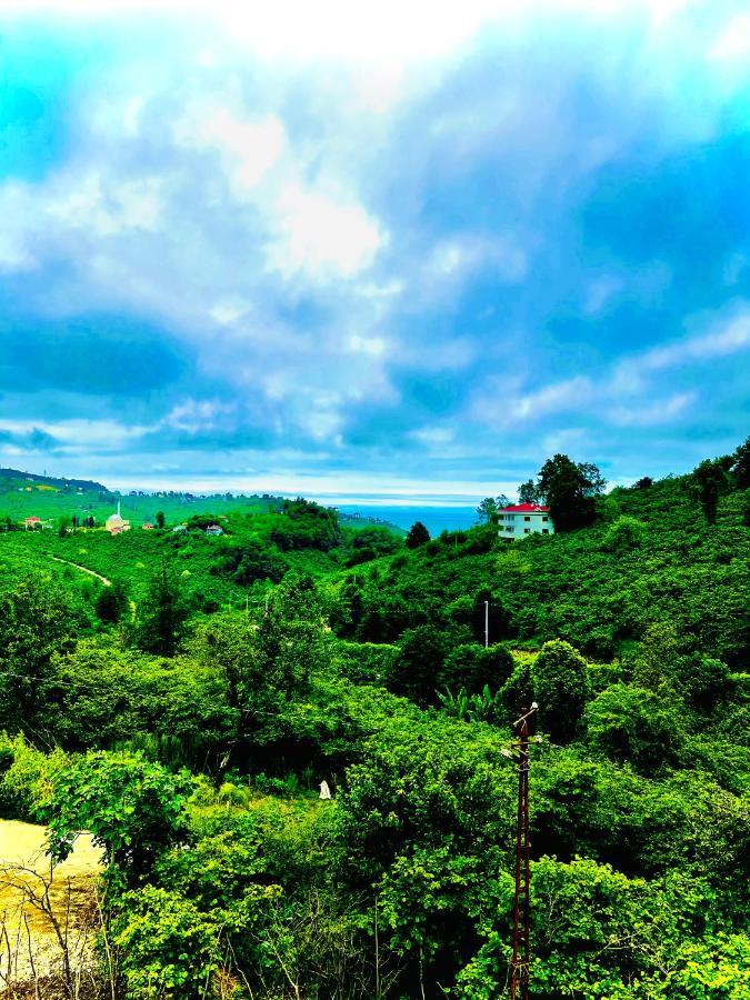 Five Stars Apart Aparthotel Trabzon Esterno foto