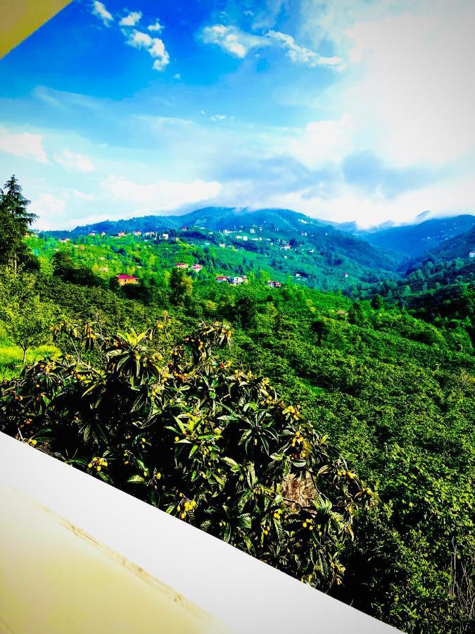 Five Stars Apart Aparthotel Trabzon Esterno foto